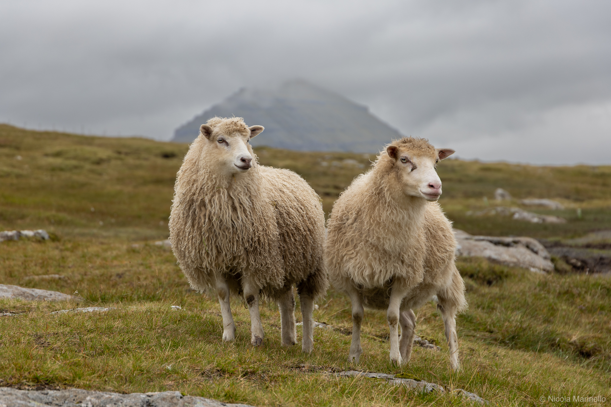 Eysturoy, Faroe Islands
